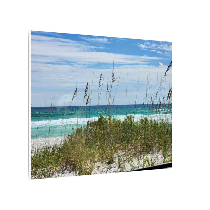 Coastal Dune Beach Canvas Print – Waves and Sea Oats Wall Art