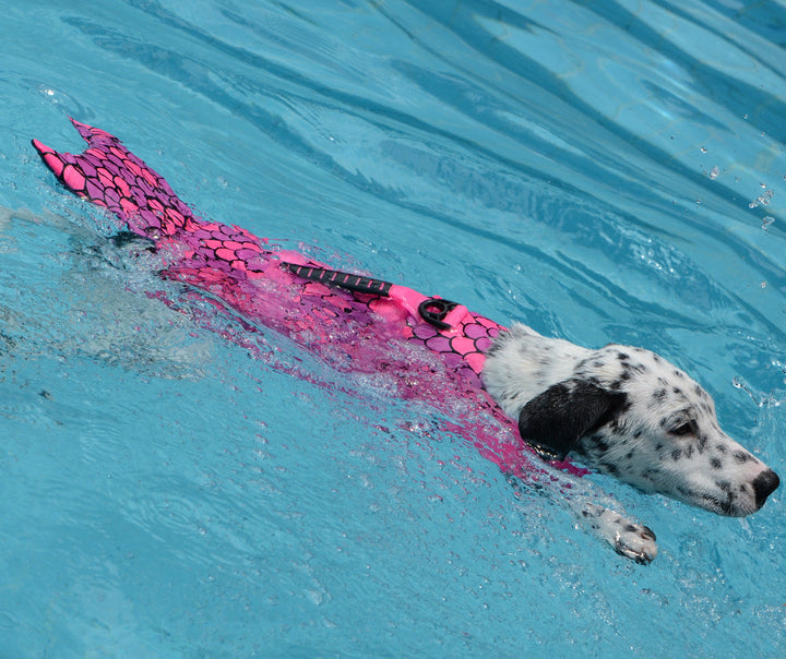 Mermaid Shark Dog Life Jacket | Adjustable Pet Swim Vest