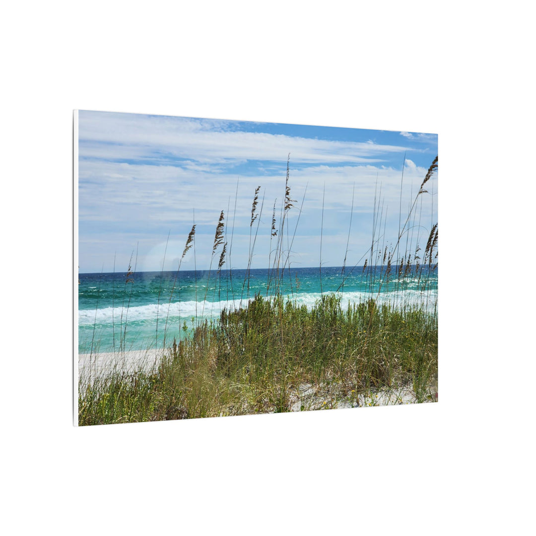 Coastal Dune Beach Canvas Print – Waves and Sea Oats Wall Art