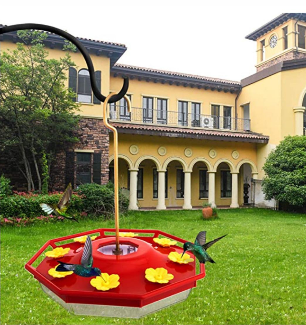 Simple and Creative Hummingbird Feeder for the Home and Garden