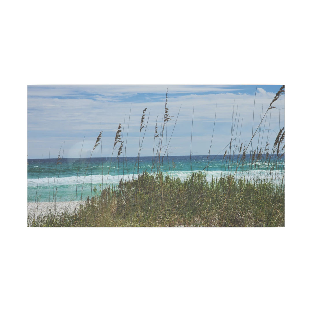 Coastal Dune Beach Canvas Print – Waves and Sea Oats Wall Art