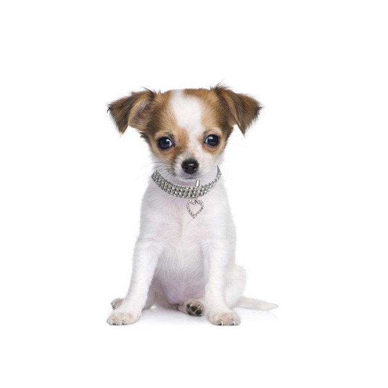 Heart-Shaped Pet Necklace and Collar Accessory