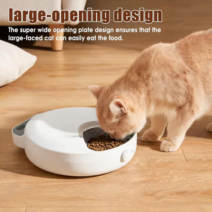 Automatic Wet Food Feeder with Ice Packs for Cats & Small Dogs