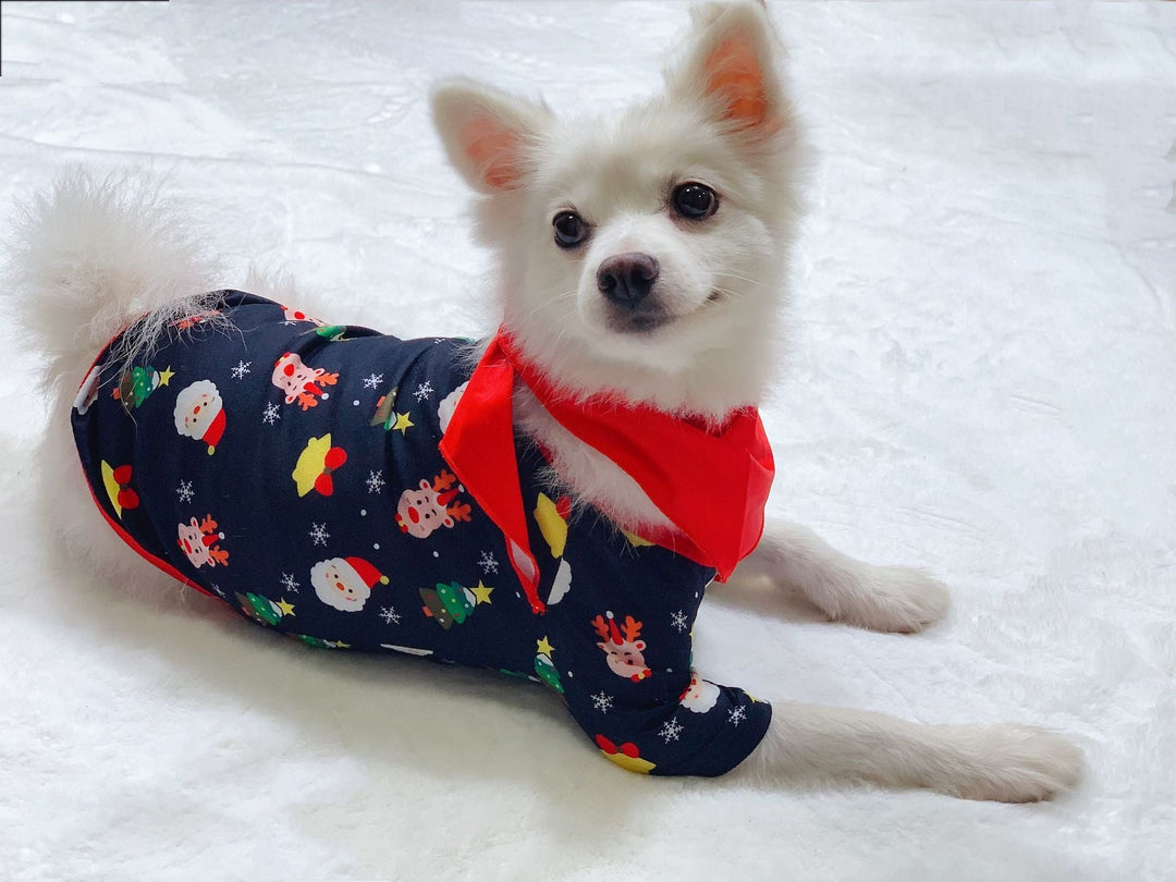 Family Matching Christmas Pajamas