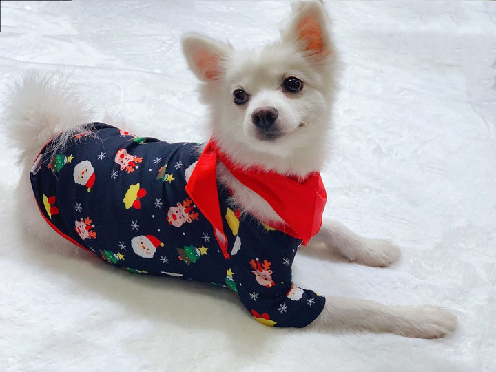 Family Matching Christmas Pajamas