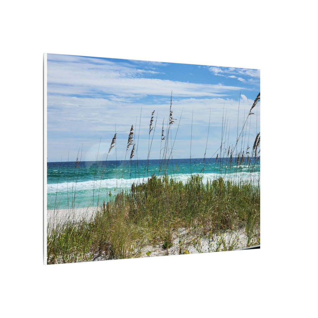 Coastal Dune Beach Canvas Print – Waves and Sea Oats Wall Art