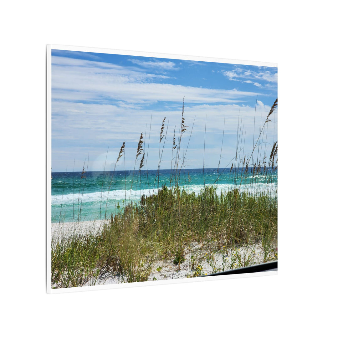 Coastal Dune Beach Canvas Print – Waves and Sea Oats Wall Art