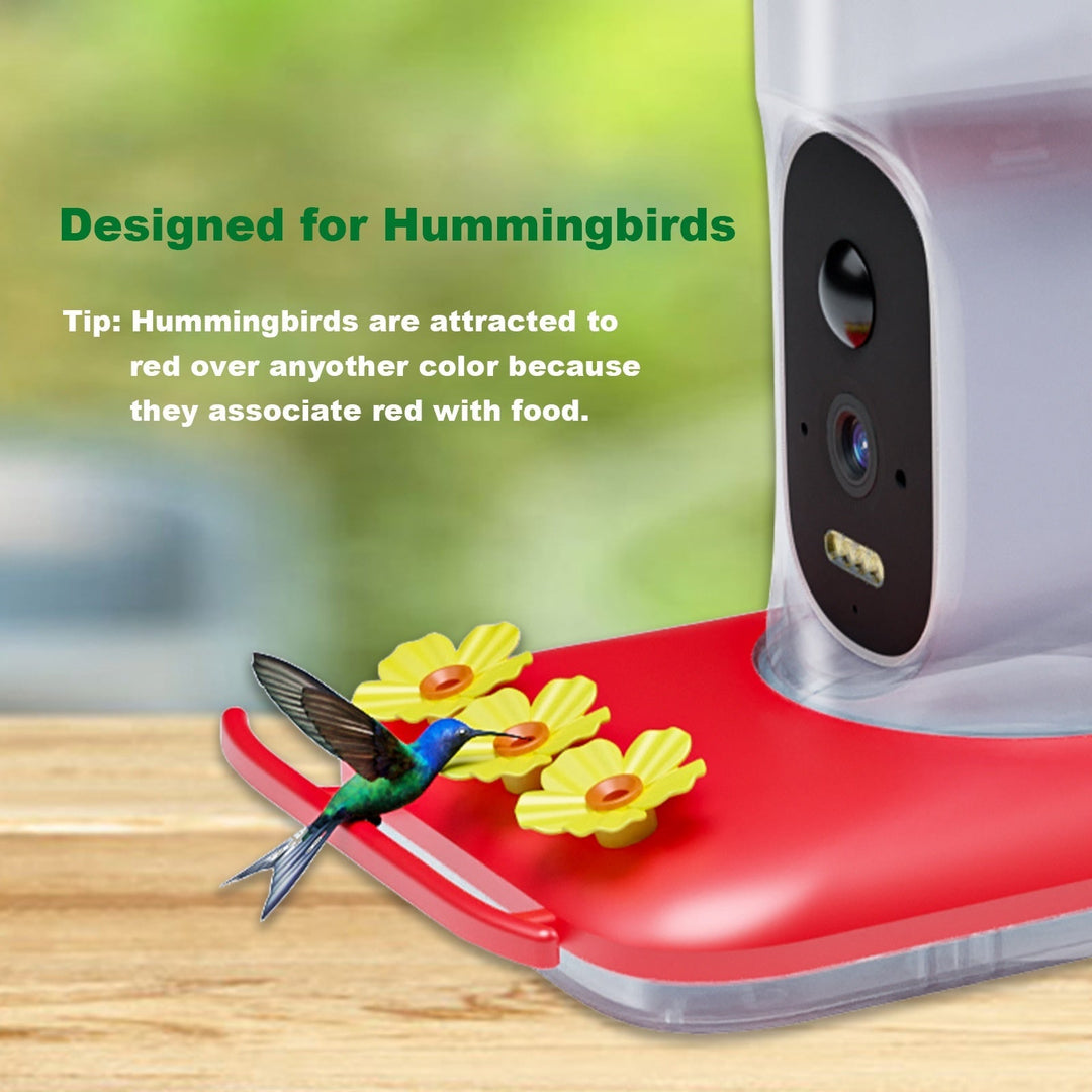 Smart 5MP HD Hummingbird Water Feeder with Camera