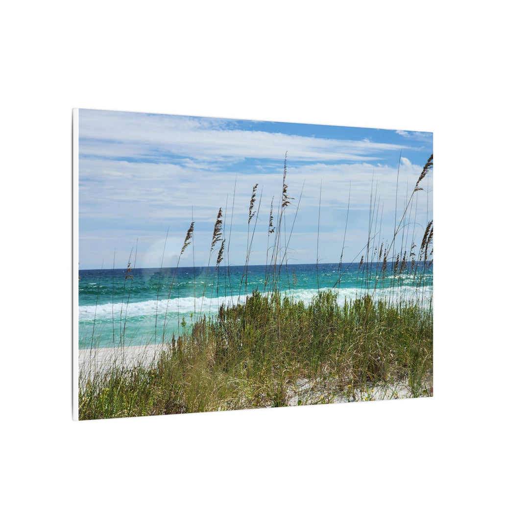 Coastal Dune Beach Canvas Print – Waves and Sea Oats Wall Art