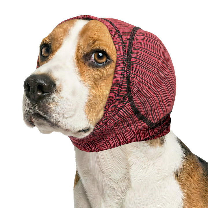 Dog Ear Cover | Noise Protection & Recovery Head Wrap