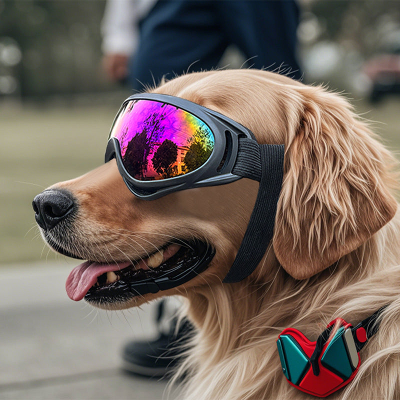 Windproof Plastic Dog Goggles for Outdoor Adventures