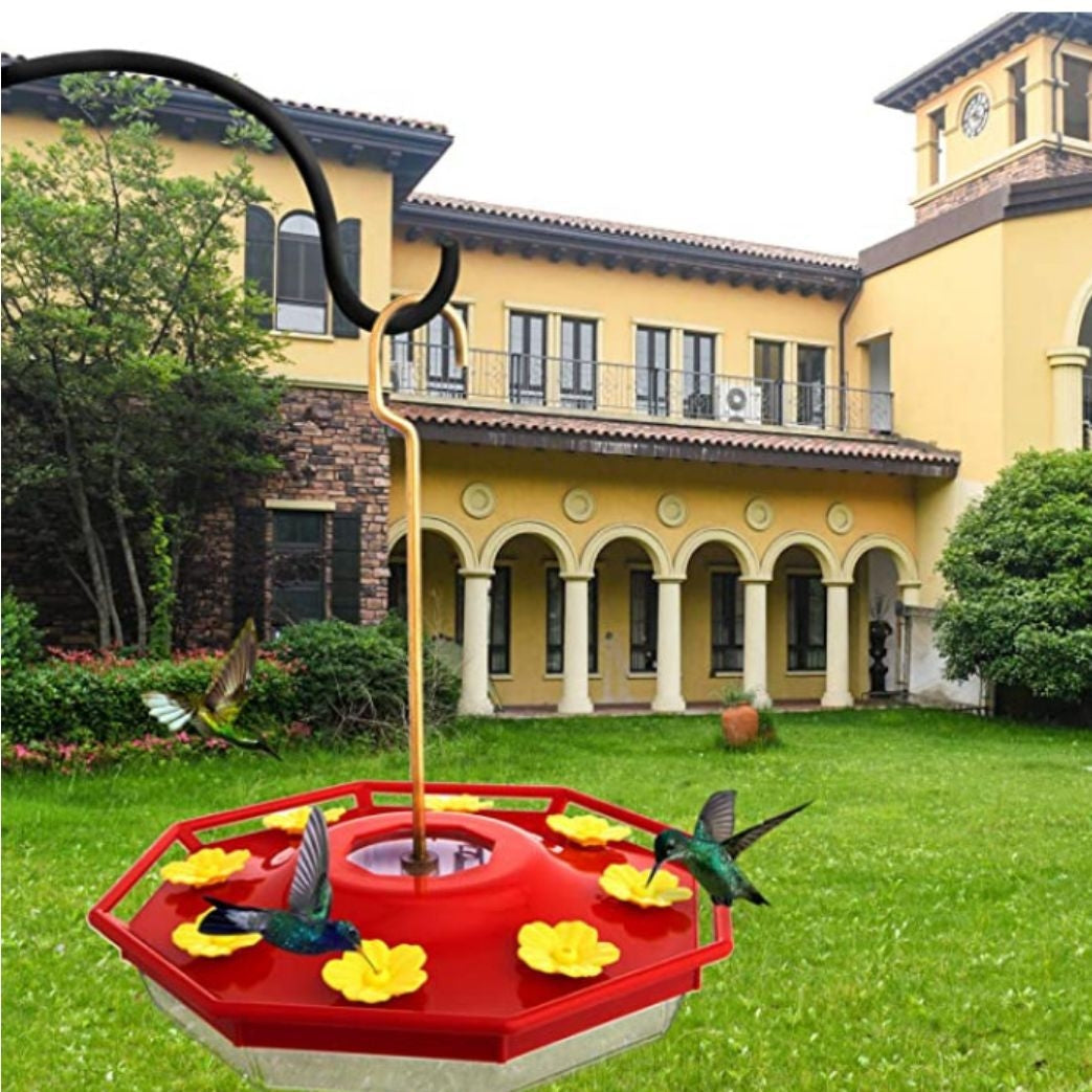 Simple and Creative Hummingbird Feeder for the Home and Garden
