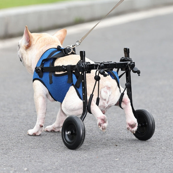 Adjustable Dog Wheelchair | Pet Mobility Support Scooter
