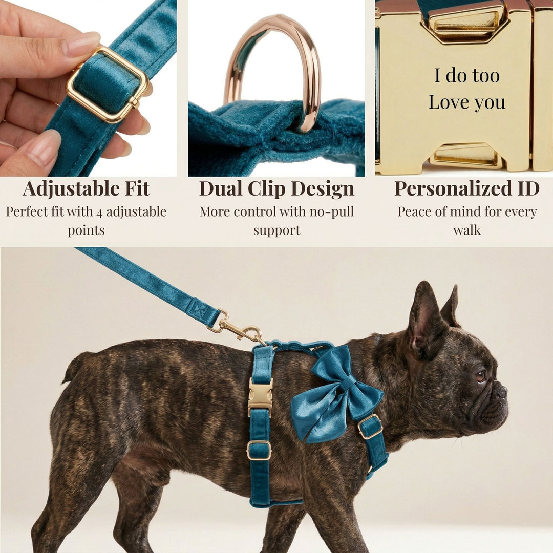 Blue Green Satin Personalized Dog Harness & Leash Set