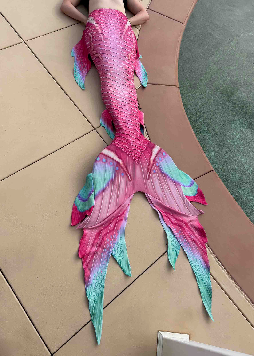 Paradise GalleryTail | Mermaid Tail for Swimming