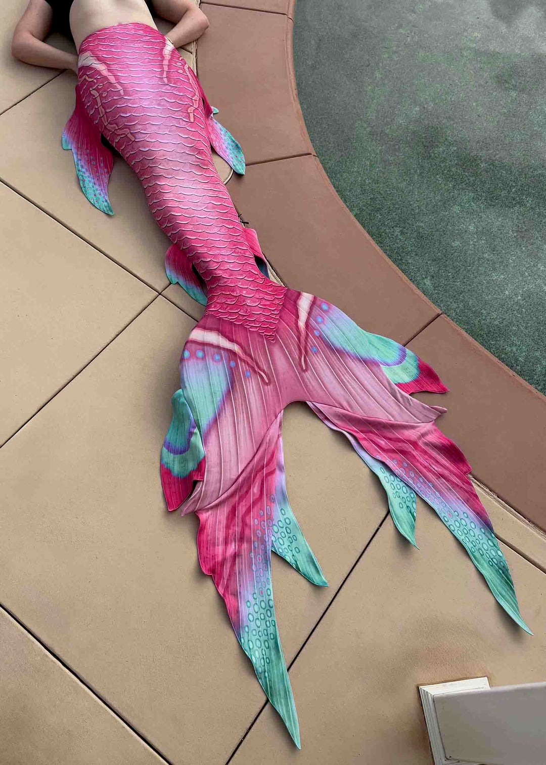 Paradise GalleryTail | Mermaid Tail for Swimming