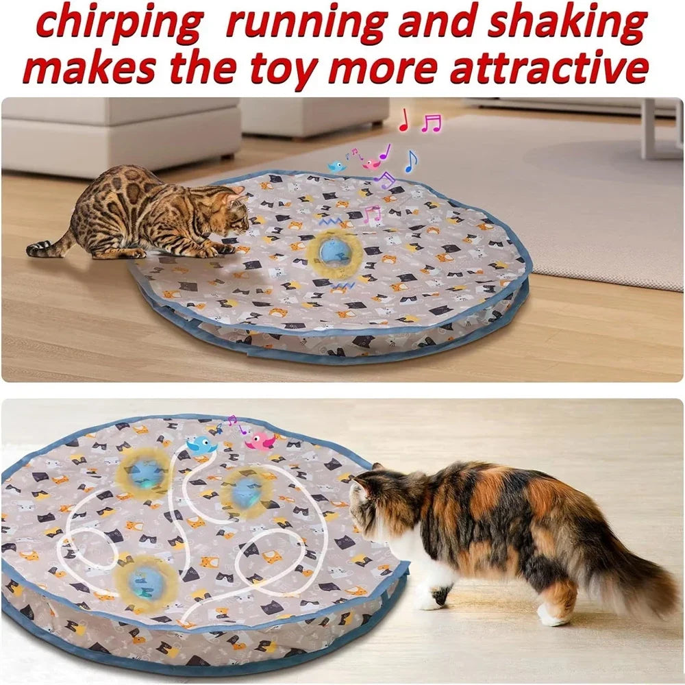 Motion-Activated Hide-and-Seek Ball Toy for Indoor Cats