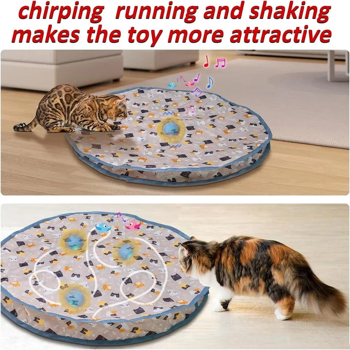 Motion-Activated Hide-and-Seek Ball Toy for Indoor Cats