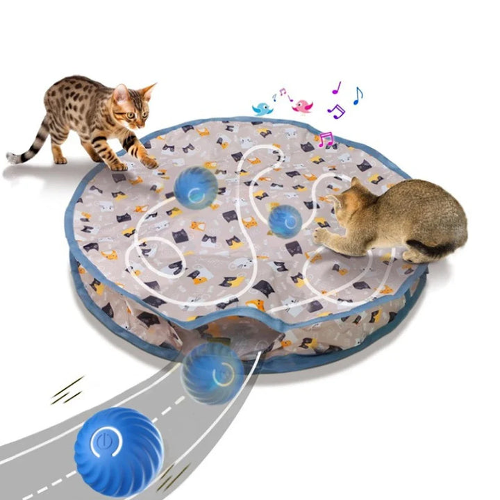 Motion-Activated Hide-and-Seek Ball Toy for Indoor Cats