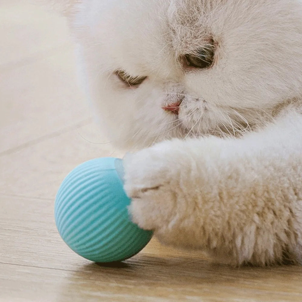 Smart Automatic Rolling Ball – Interactive Indoor Cat Toy