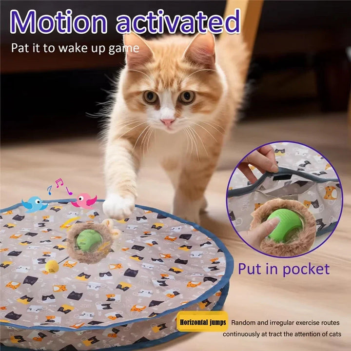 Motion-Activated Hide-and-Seek Ball Toy for Indoor Cats