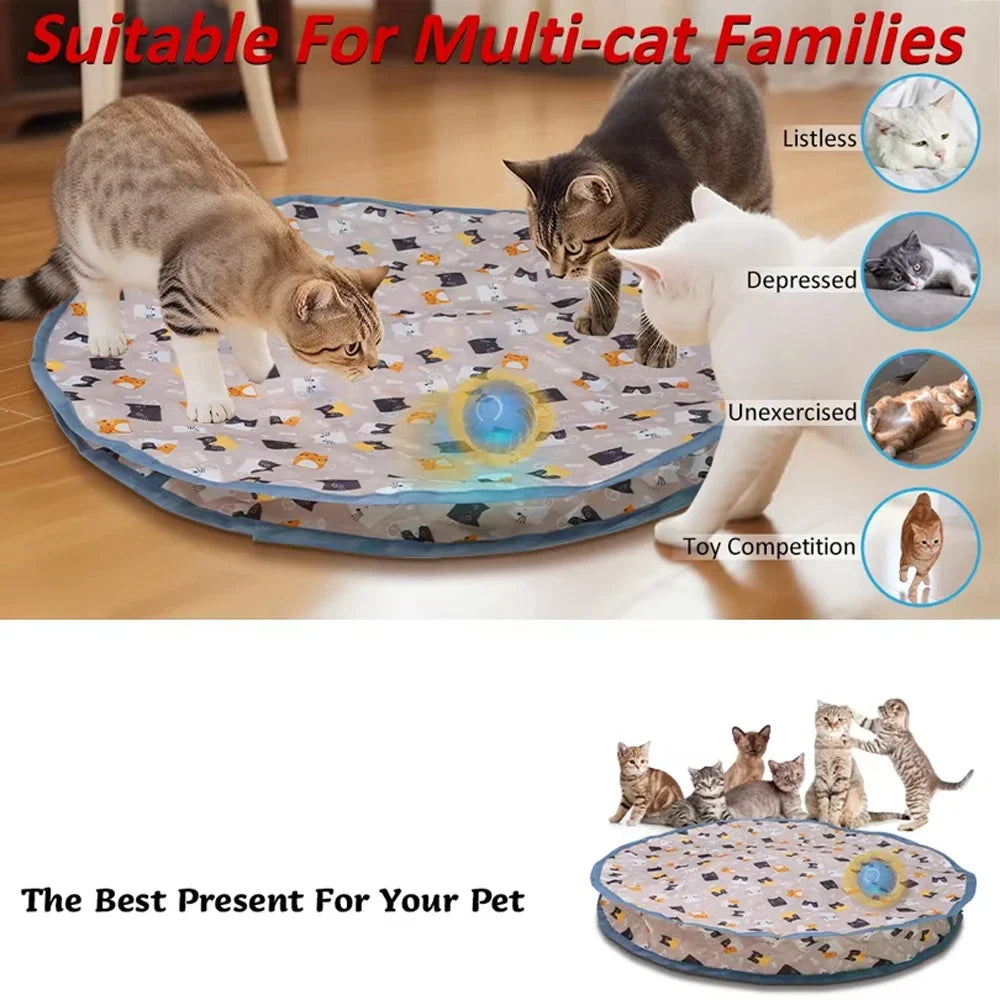 Motion-Activated Hide-and-Seek Ball Toy for Indoor Cats