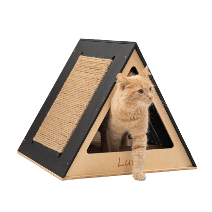 Wooden Cat House | Modern White Indoor Cat Shelter