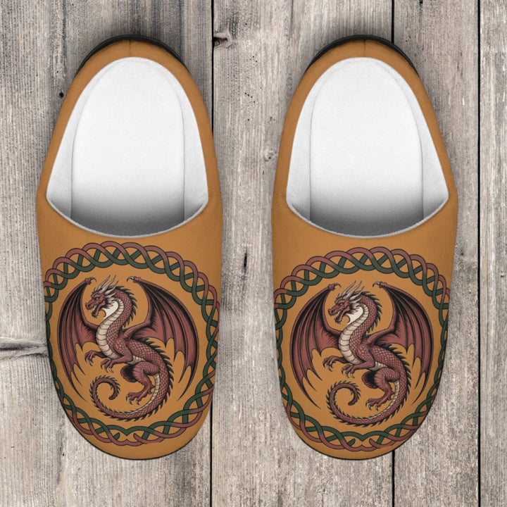 Ancient Dragon Men's Indoor Slippers