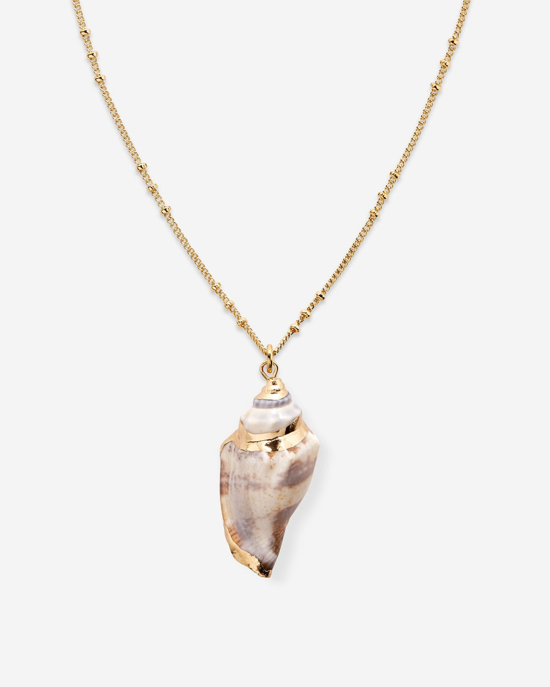 Sea Seeker Shell Necklace – Ocean-Inspired Jewelry by Bryan Anthonys
