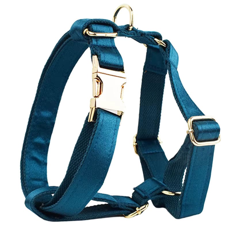Blue Green Satin Personalized Dog Harness & Leash Set