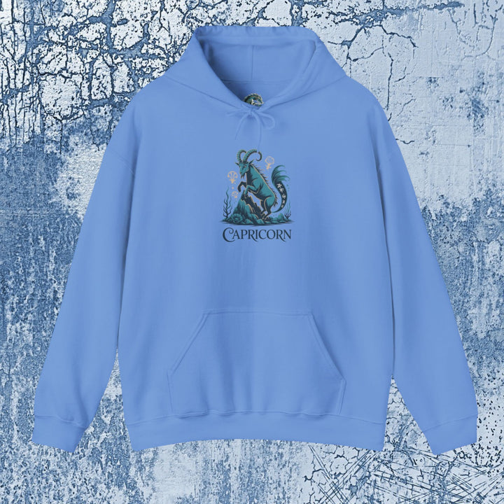 Capricorn Zodiac Hoodie, Astrology Sweatshirt, Perfect Gift for Capricorn Birthdays