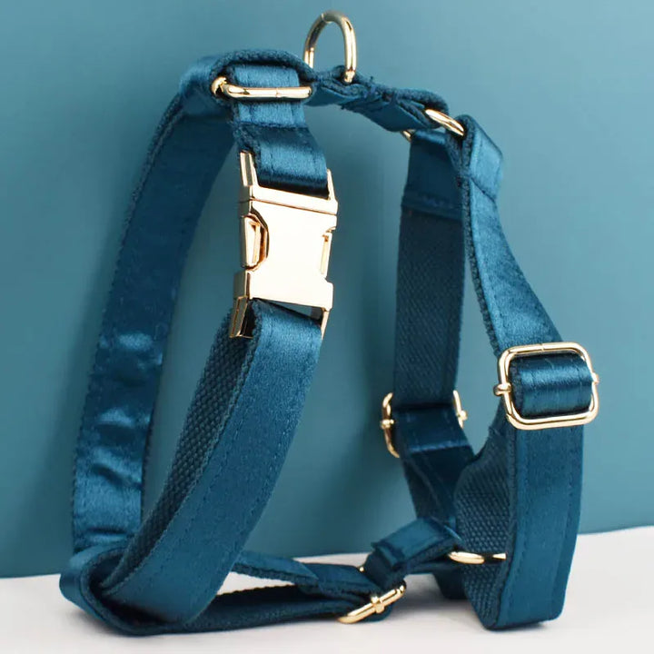 Blue Green Satin Personalized Dog Harness & Leash Set