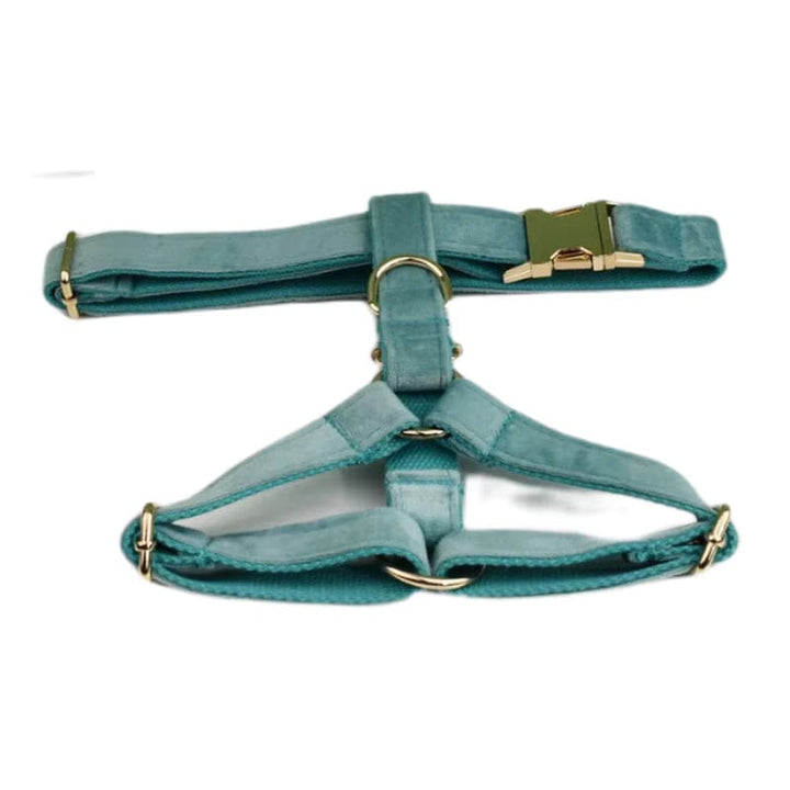 Green Ocean Velvet Personalized Dog Harness, Collar & Leash Set