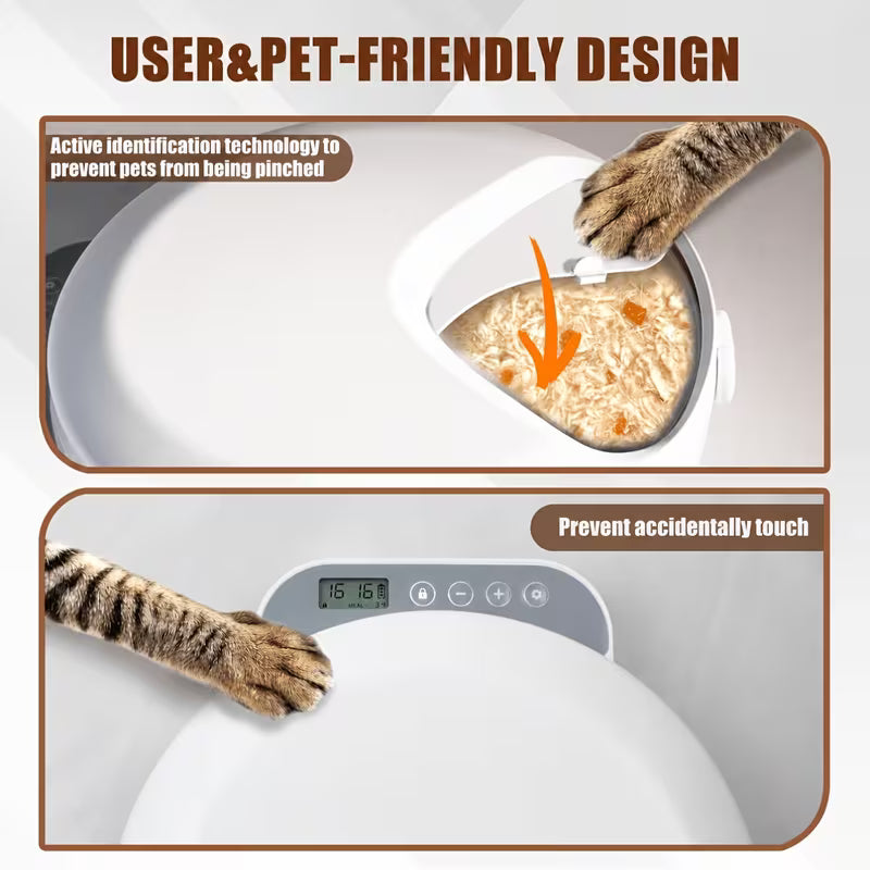 Sea Dragon Dreams automatic pet feeder with safety sensors and digital timer, showing a cat paw near food compartment.