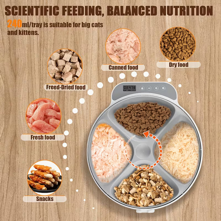 Sea Dragon Dreams automatic pet feeder with four compartments filled with various wet and dry food options