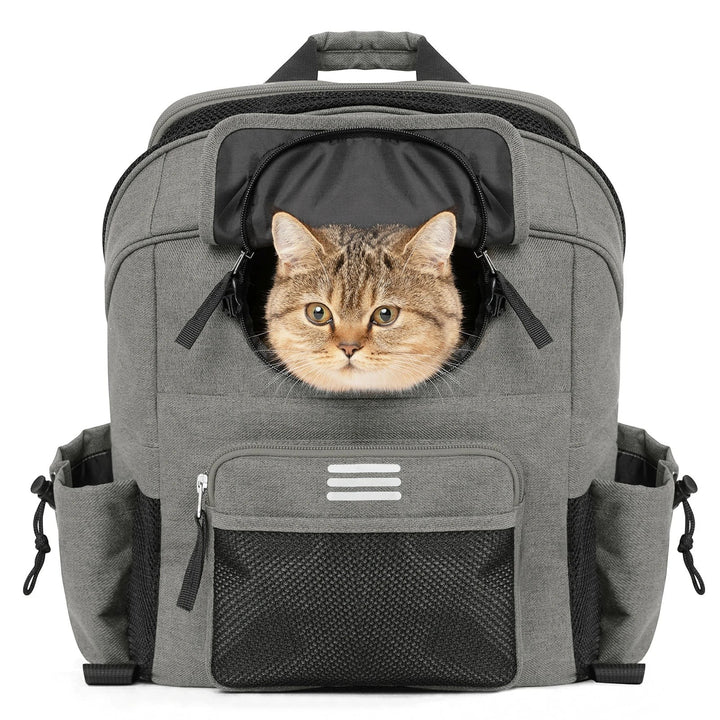 Sea Dragon Dreams grey pet carrier backpack with a cat peeking out, featuring waterproof fabric and mesh ventilation.