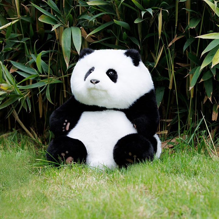 Sea Dragon Dreams Hehua panda plush backpack sitting in green grass with bamboo background