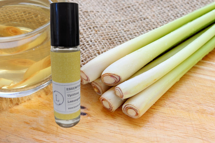 Sea Dragon Dreams lemongrass essential oil roll-on with CBD isolate and crystals, displayed with fresh lemongrass stalks.