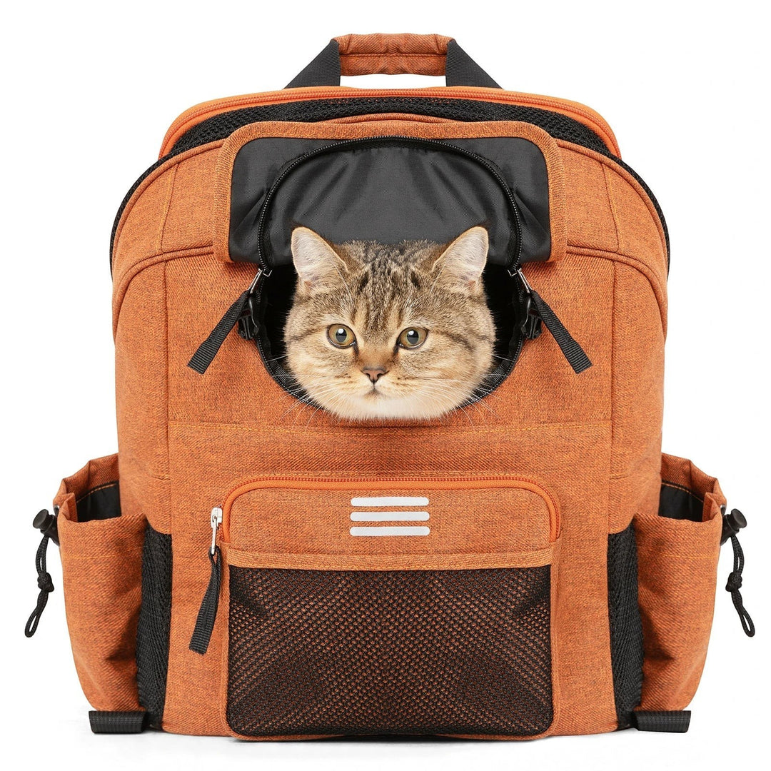 Sea Dragon Dreams orange pet carrier backpack with a cat peeking out of the roll-up mesh window