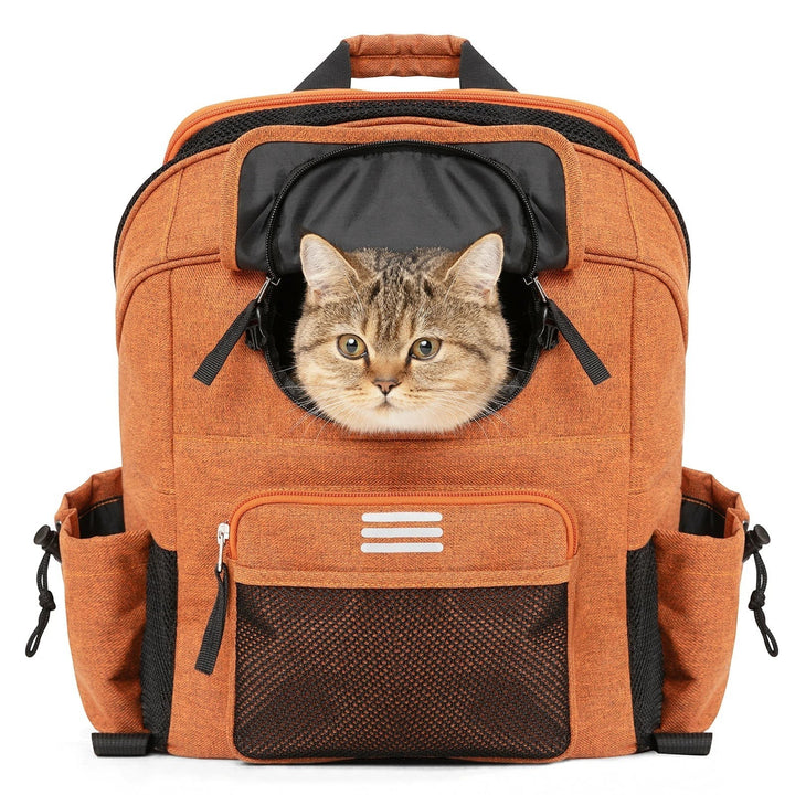 Sea Dragon Dreams orange pet carrier backpack with a cat peeking out of the roll-up mesh window