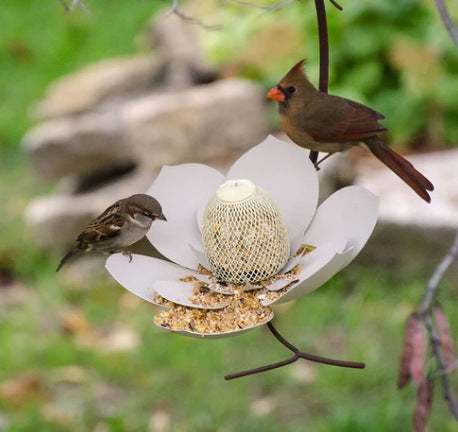Sea Dragon Dreams petal-shaped bird feeder in a garden with a cardinal and sparrow feeding on birdseed