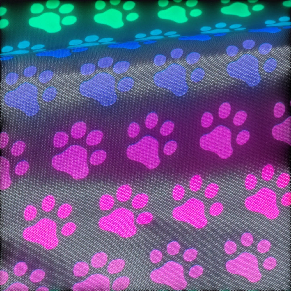 Sea Dragon Dreams magnetic mailbox cover featuring a vibrant rainbow paw print pattern on durable fabric