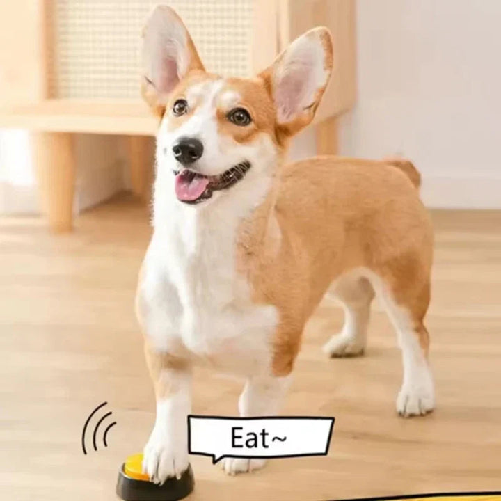 Sea Dragon Dreams recordable dog talking button being pressed by a Corgi for interactive pet communication training
