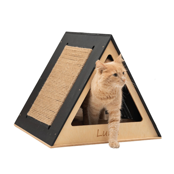 Sea Dragon Dreams triangular wooden cat house with a black frame, sisal scratching pad, and a ginger cat stepping out.