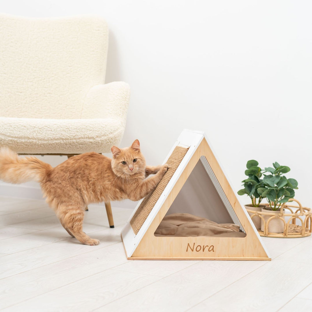 Sea Dragon Dreams modern white wooden cat house with a scratching pad, featuring a ginger cat playing inside.