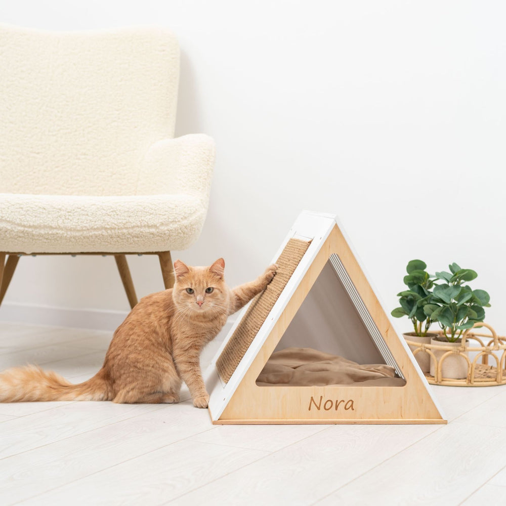 Sea Dragon Dreams modern white wooden triangular cat house with a scratching pad and a ginger cat resting beside it.