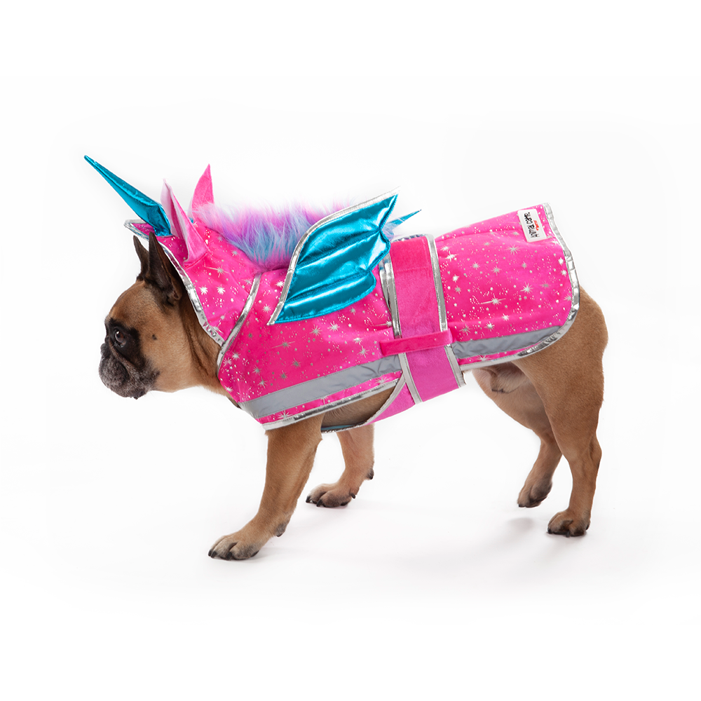 Sea Dragon Dreams AnimalCamp™ winged unicorn dog costume in pink with metallic blue wings on a French Bulldog