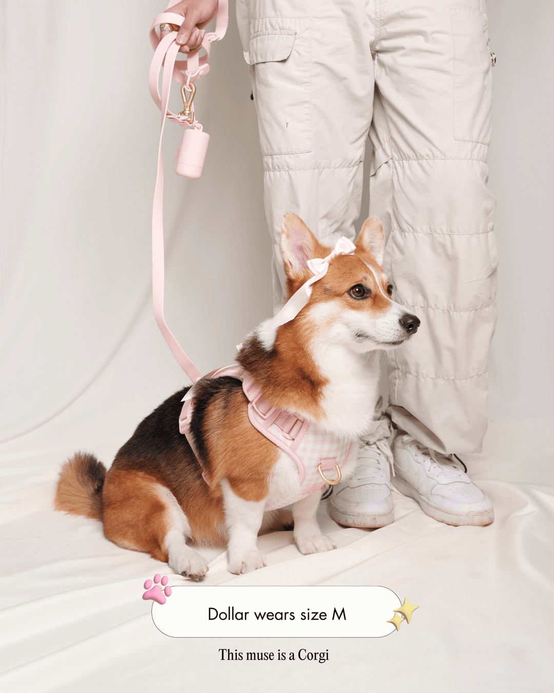 Wander! Bow Harness 2.0 - Blossom Gingham