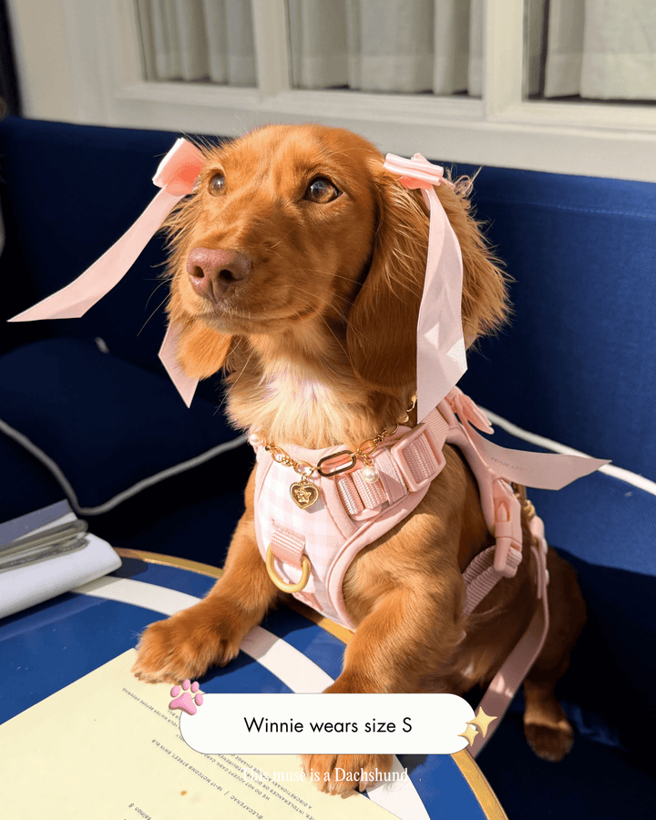 Wander! Bow Harness 2.0 - Blossom Gingham