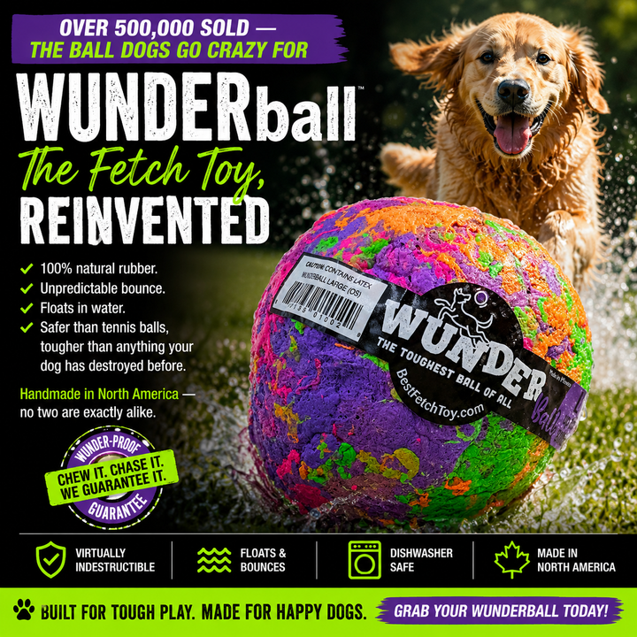 WUNDERball - Best Fetch Toy